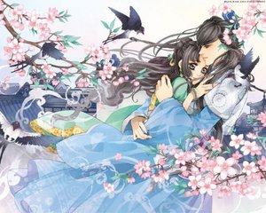 小蝌蚪芒果黄视频